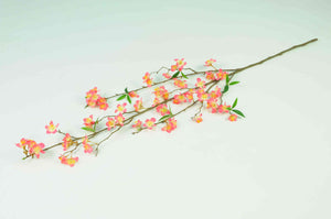 Cherry Blossom Branch
