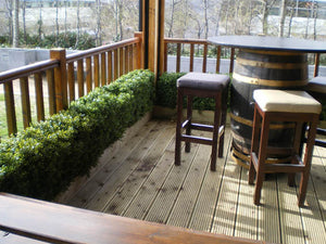 Boxwood Hedge Medium