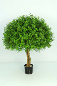 Cloud Tree