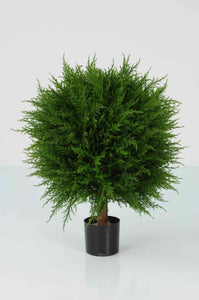 Cypress Ball