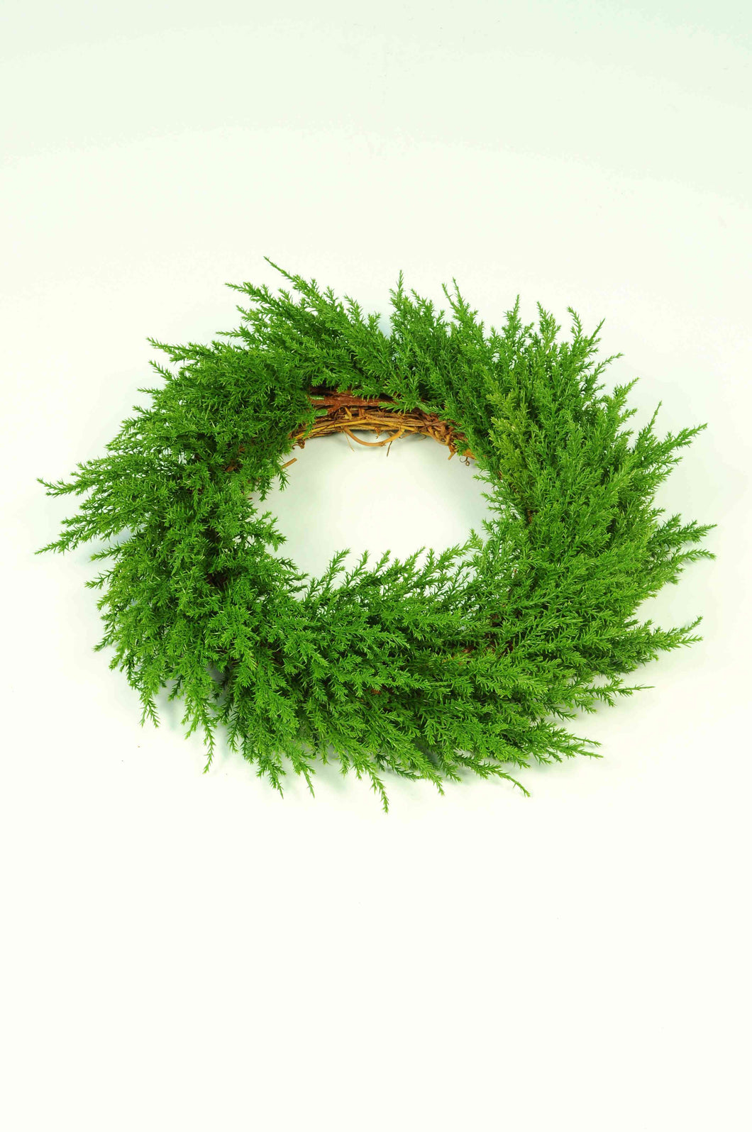 Wreath Cypress