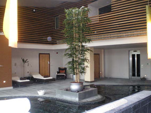 Bamboo Giant