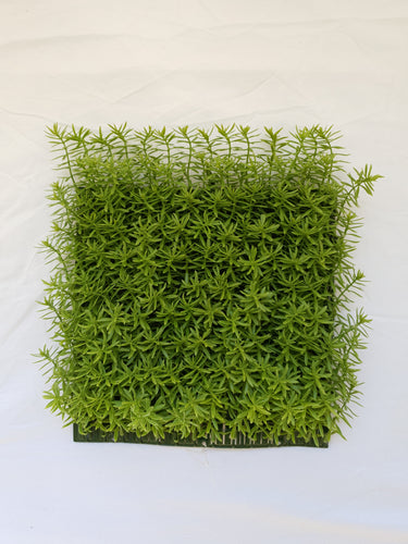 Glod Senecio Tile