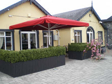 Load image into Gallery viewer, Boxwood Hedge Medium