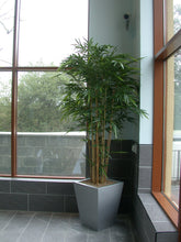 Load image into Gallery viewer, Bamboo Natural