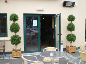 Boxwood 3 Ball 4ft