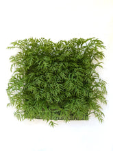 Load image into Gallery viewer, Green Ming Aralia Tile