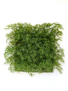 Green Ming Aralia Tile