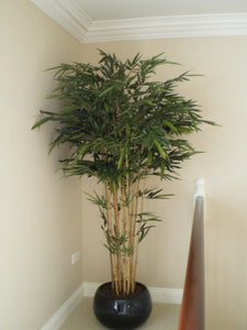 Bamboo Natural