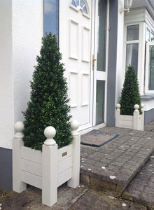 Boxwood Pyramid 100cm