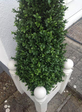 Load image into Gallery viewer, Boxwood Pyramid 100cm