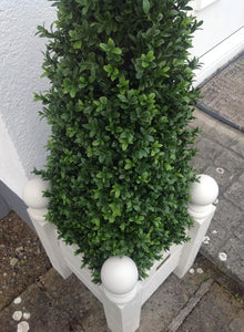 Boxwood Pyramid 100cm