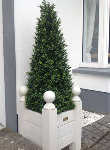 Boxwood Pyramid 100cm