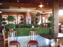 Load image into Gallery viewer, Boxwood Hedge Medium