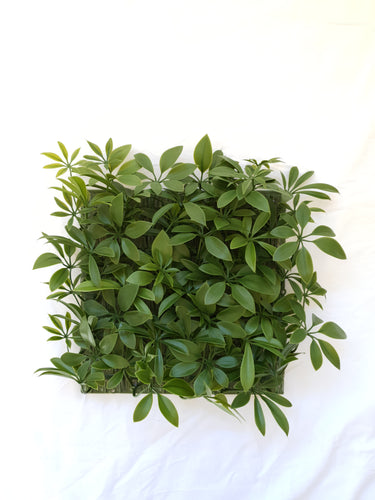 Green Schefflera Tile