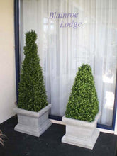 Load image into Gallery viewer, Boxwood Pyramid 110cm