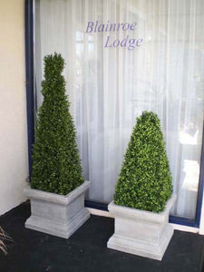 Boxwood Pyramid 110cm