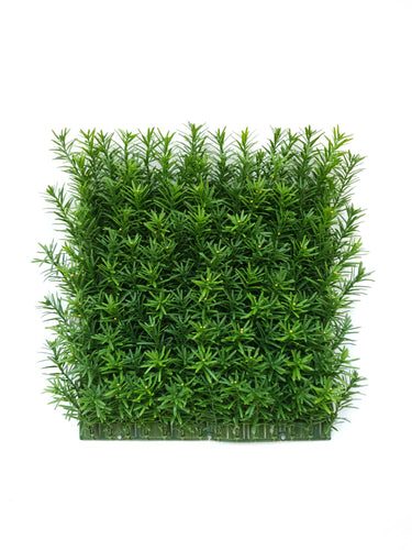 Taxus Tile