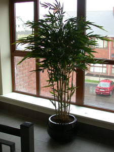 Bamboo Natural
